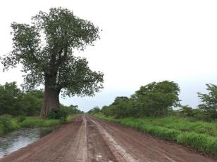 Zambian roads